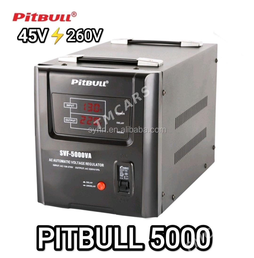 PITBULL TOK KOPELDYÄN ENJAMLAR - Gurtly - img 5