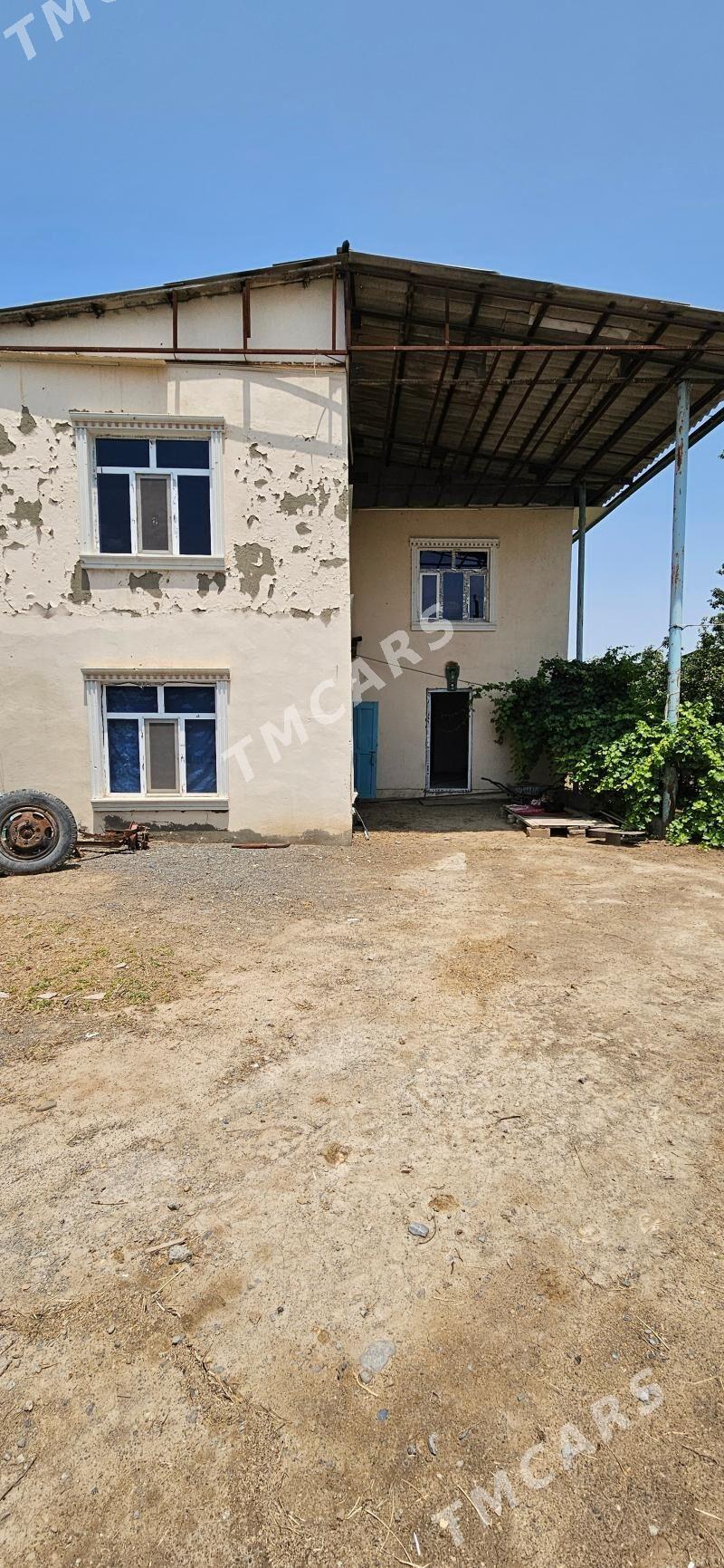 Hitrowka 6 sotok kotej - Ашхабад - img 2