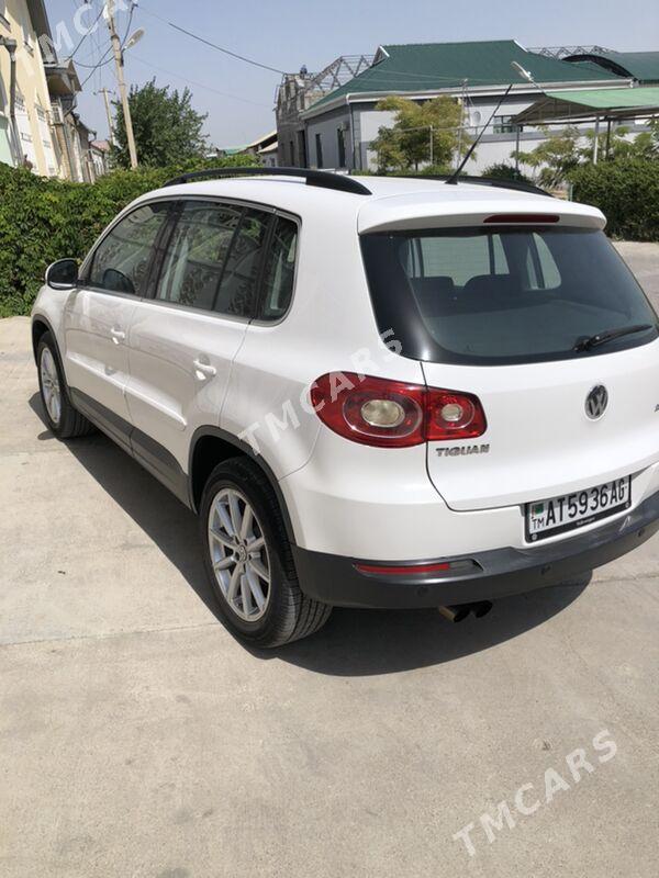 Volkswagen Tiguan 2009 - 190 000 TMT - Aşgabat - img 5