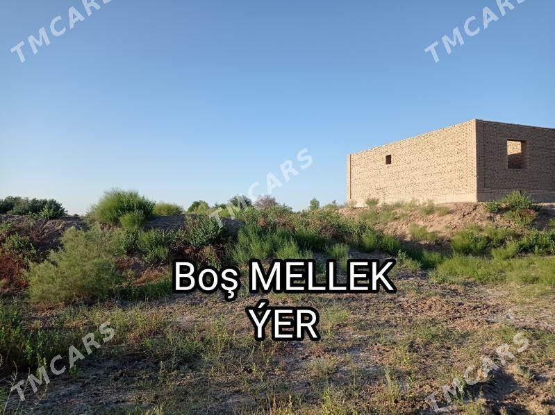JAÝ - Daşoguz - img 3