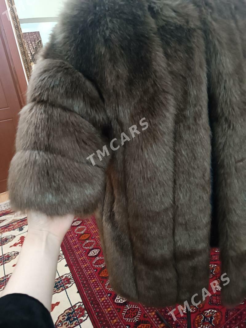 shuba zempir - Кëши - img 2
