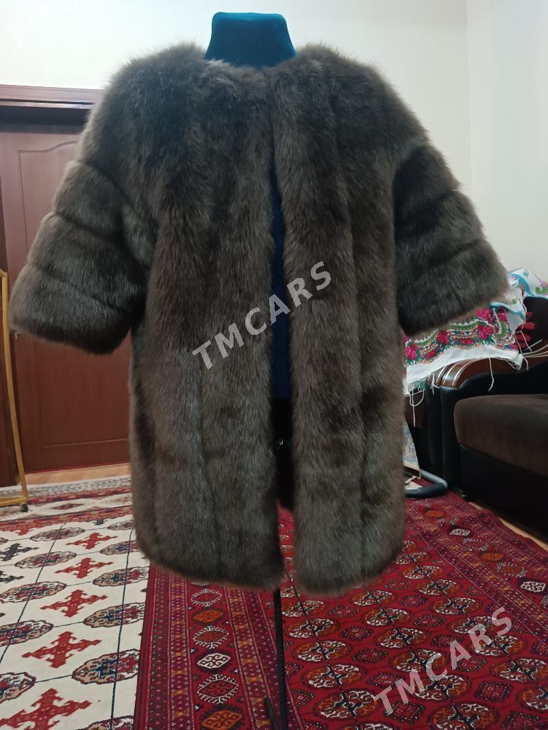 shuba zempir - Кëши - img 4