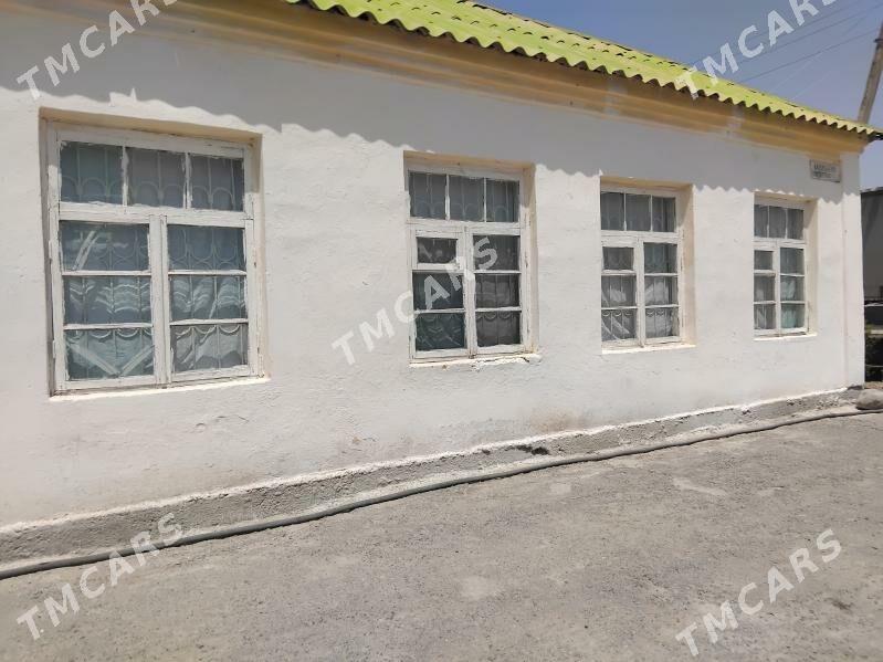 Satlyk Jaÿ. - Büzmeýin - img 2