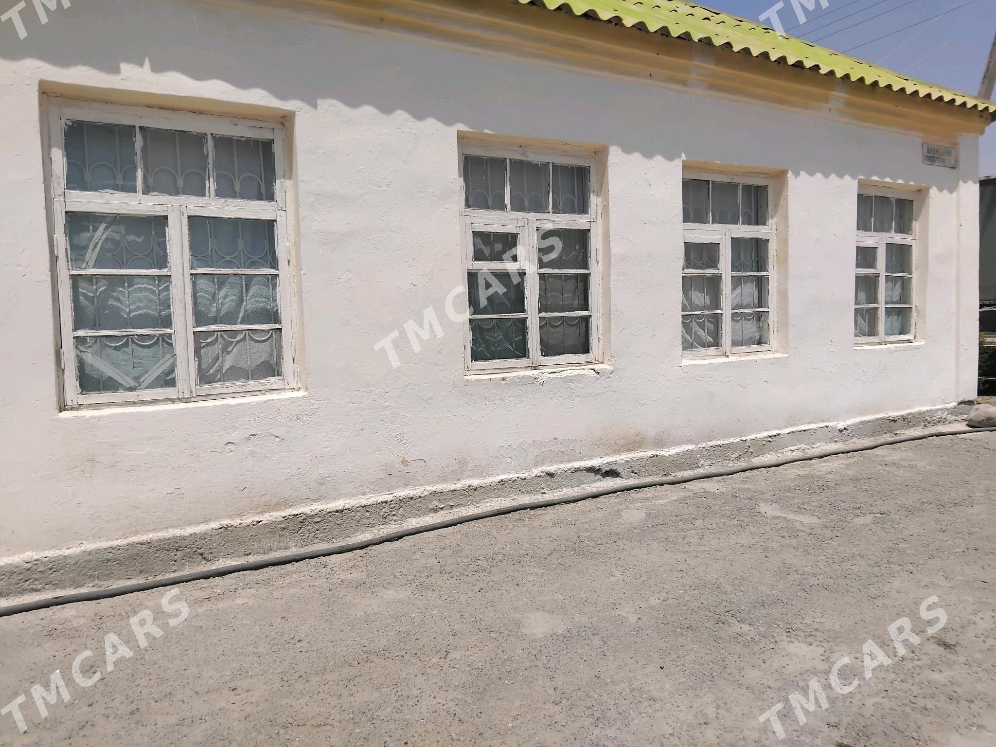Satlyk Jaÿ. - Büzmeýin - img 3