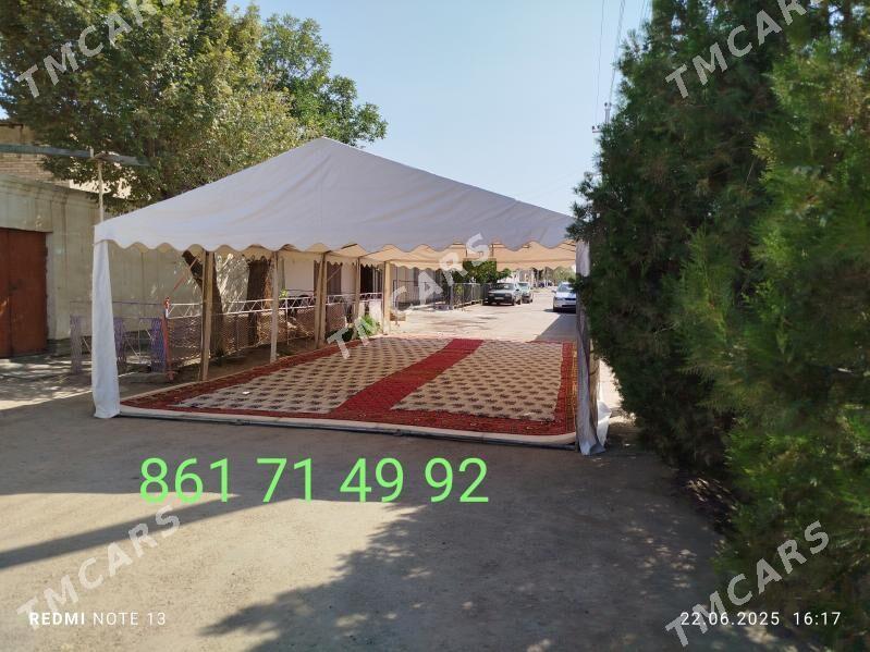 palatka - Boldumsaz - img 2