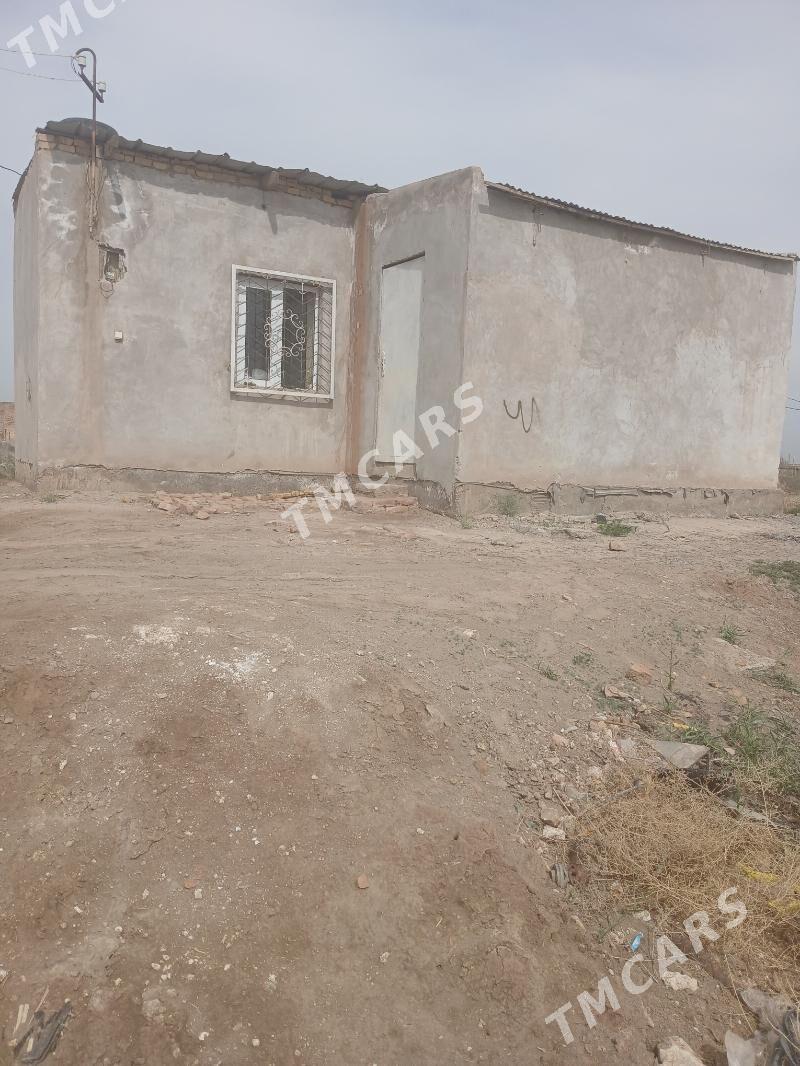 daça - Türkmenabat - img 2