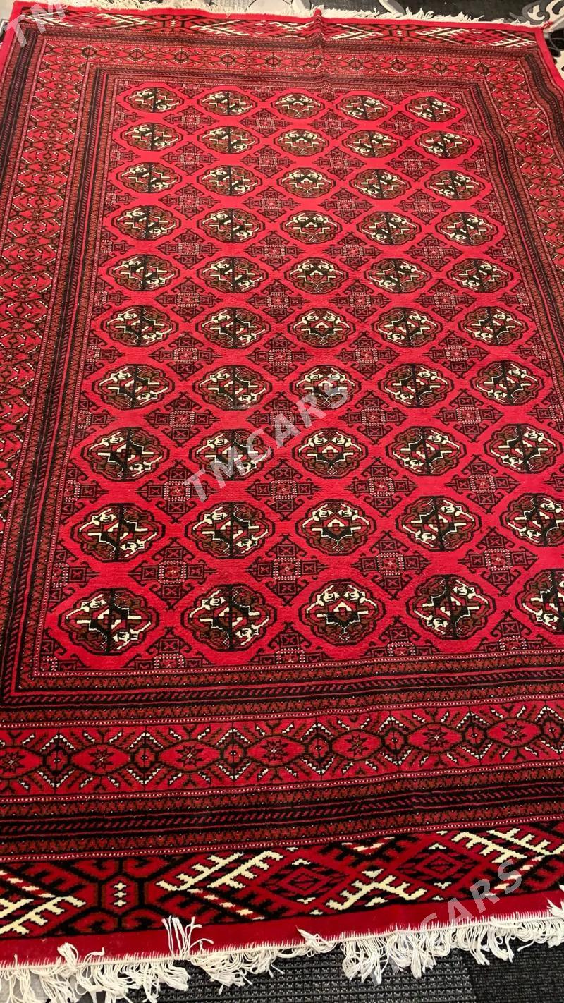haly - Daşoguz - img 2
