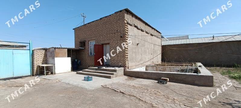 Garaşsyzlyk koce - Tejen - img 1