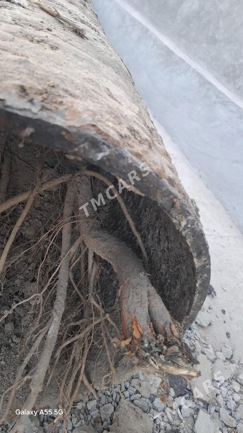 TURBA 500 LIK - Daşoguz - img 2