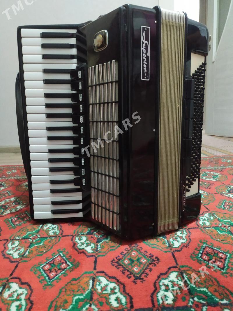 akkordeon - Aşgabat - img 2
