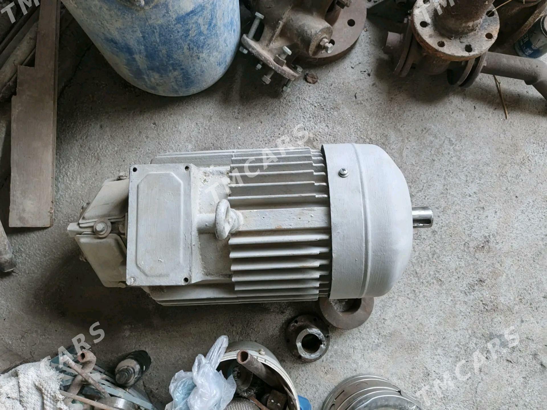 Elektrodwigatel - Ýaşlyk - img 5