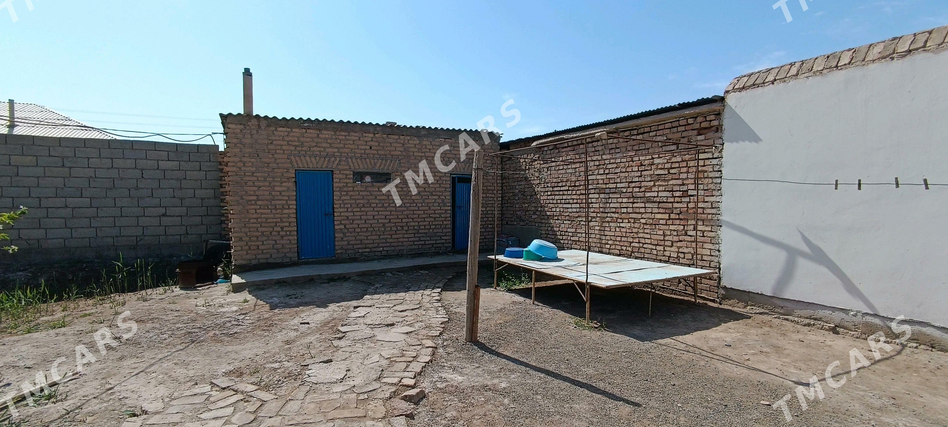 Garaşsyzlyk koce - Tejen - img 2