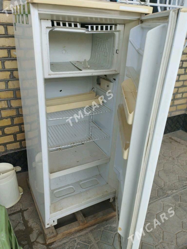 haladilnik - Mary - img 2