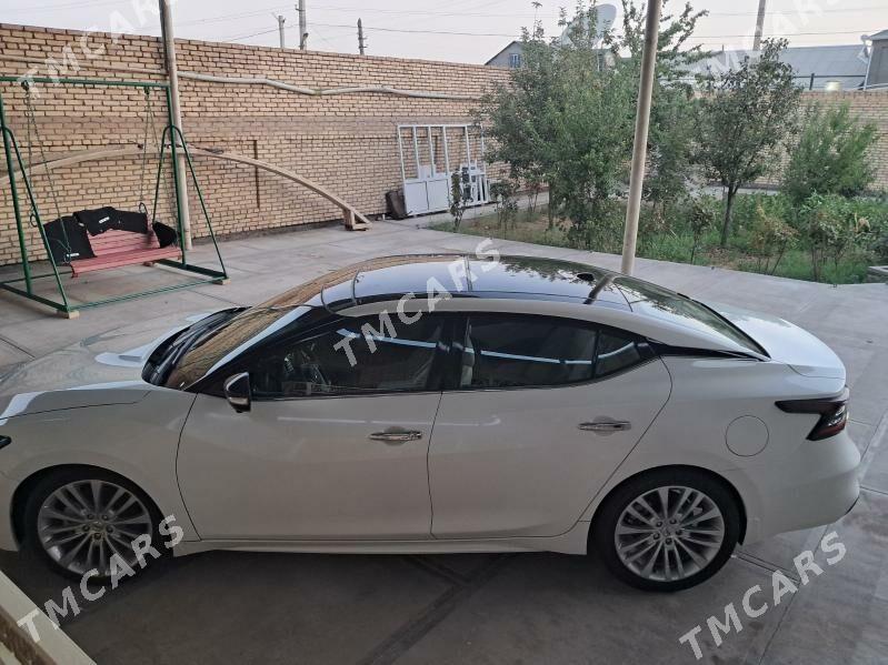 Nissan Maxima 2023 - 360 000 TMT - Aşgabat - img 7