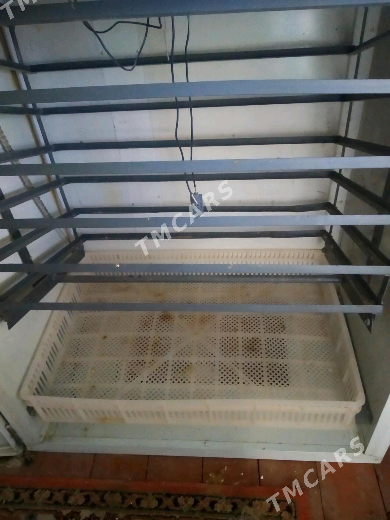 inkubator. инкубатор - Baýramaly - img 3