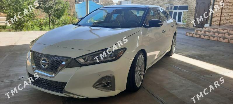 Nissan Maxima 2023 - 315 200 TMT - Mary - img 2