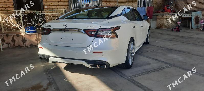 Nissan Maxima 2023 - 315 200 TMT - Mary - img 3