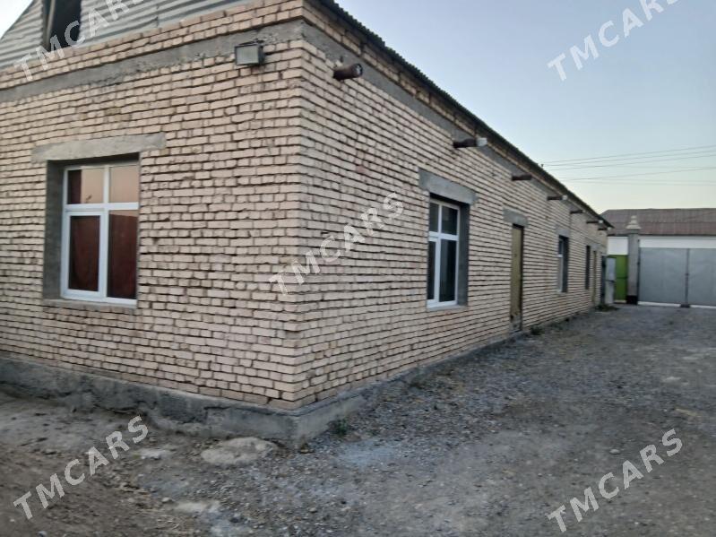 satlyk jaÿ - Büzmeýin - img 7