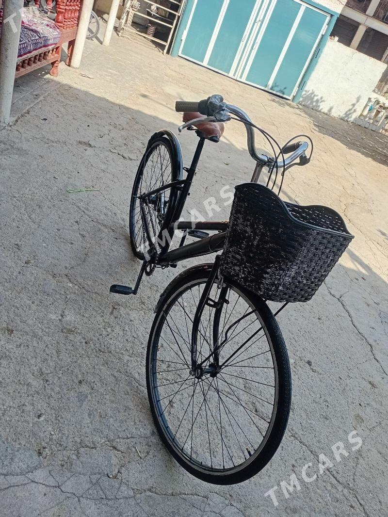 ỳapoşka tigir - Büzmeýin - img 2