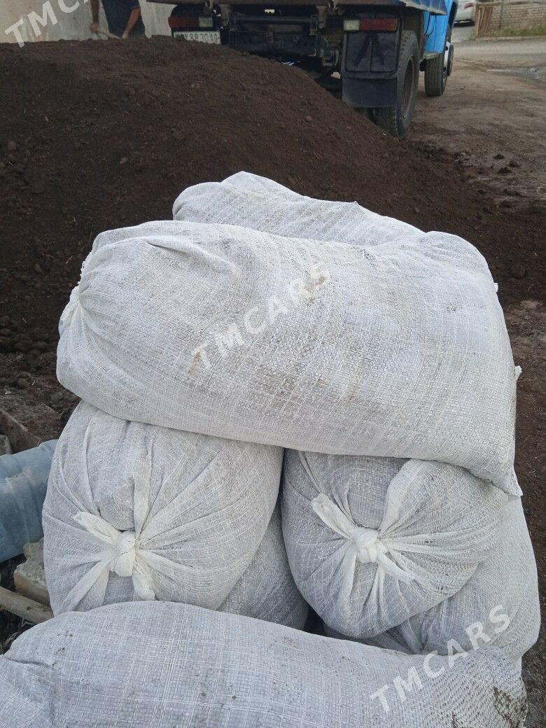 Ders - Aşgabat - img 1
