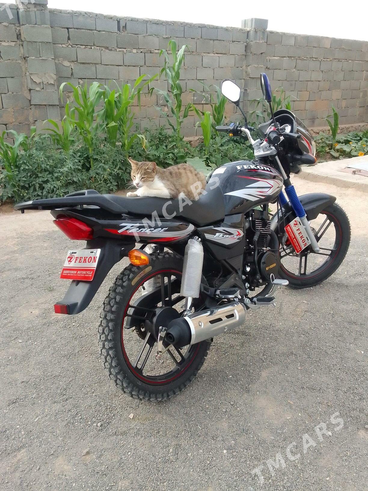 Fekon FK200-14G 2024 - 17 000 TMT - Türkmenbaşy - img 2