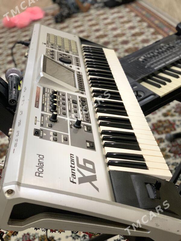 Roland Fantom x6 - Ak bugdaý etraby - img 2