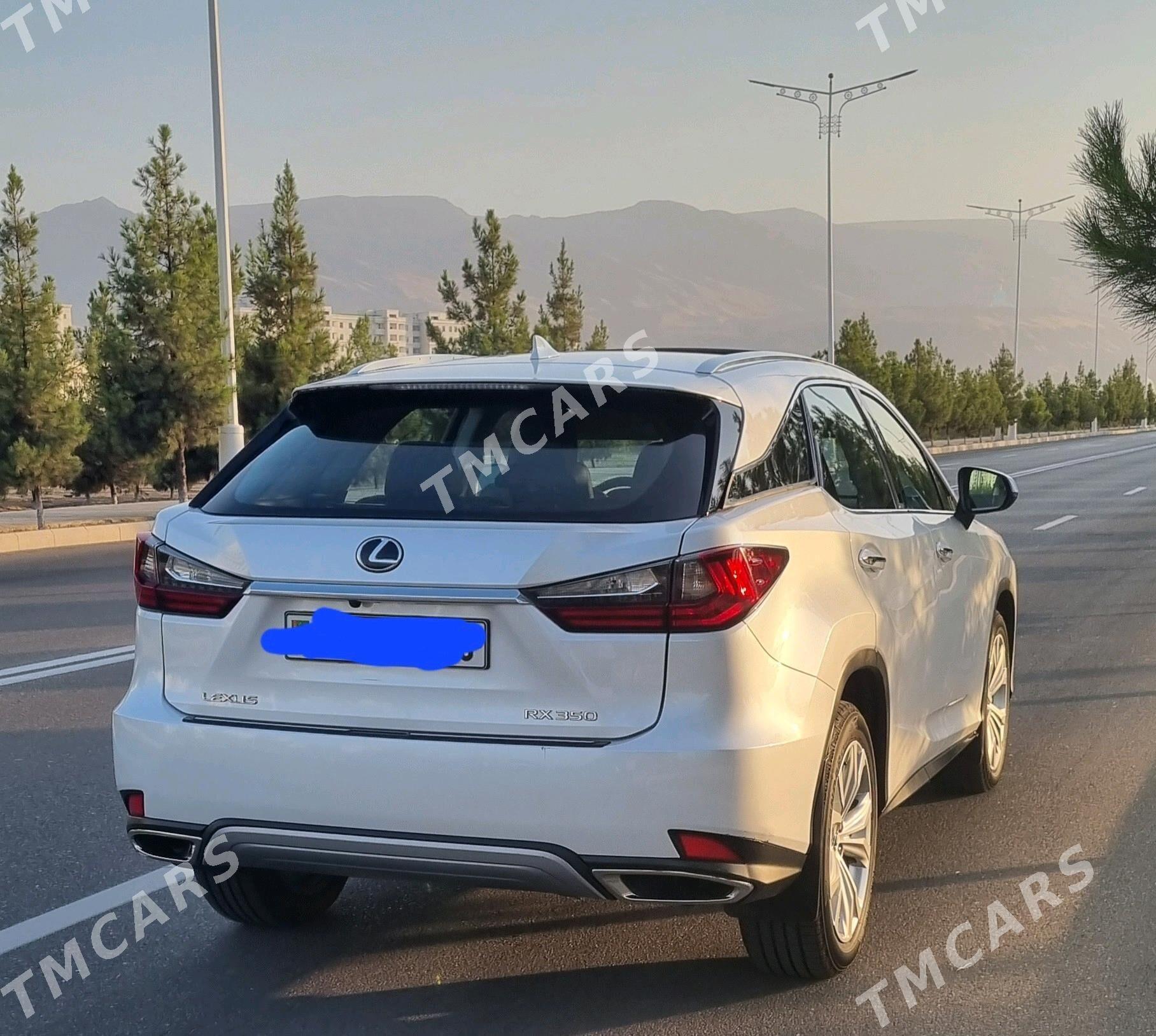 Lexus RX 350 2020 - 635 000 TMT - Ашхабад - img 6