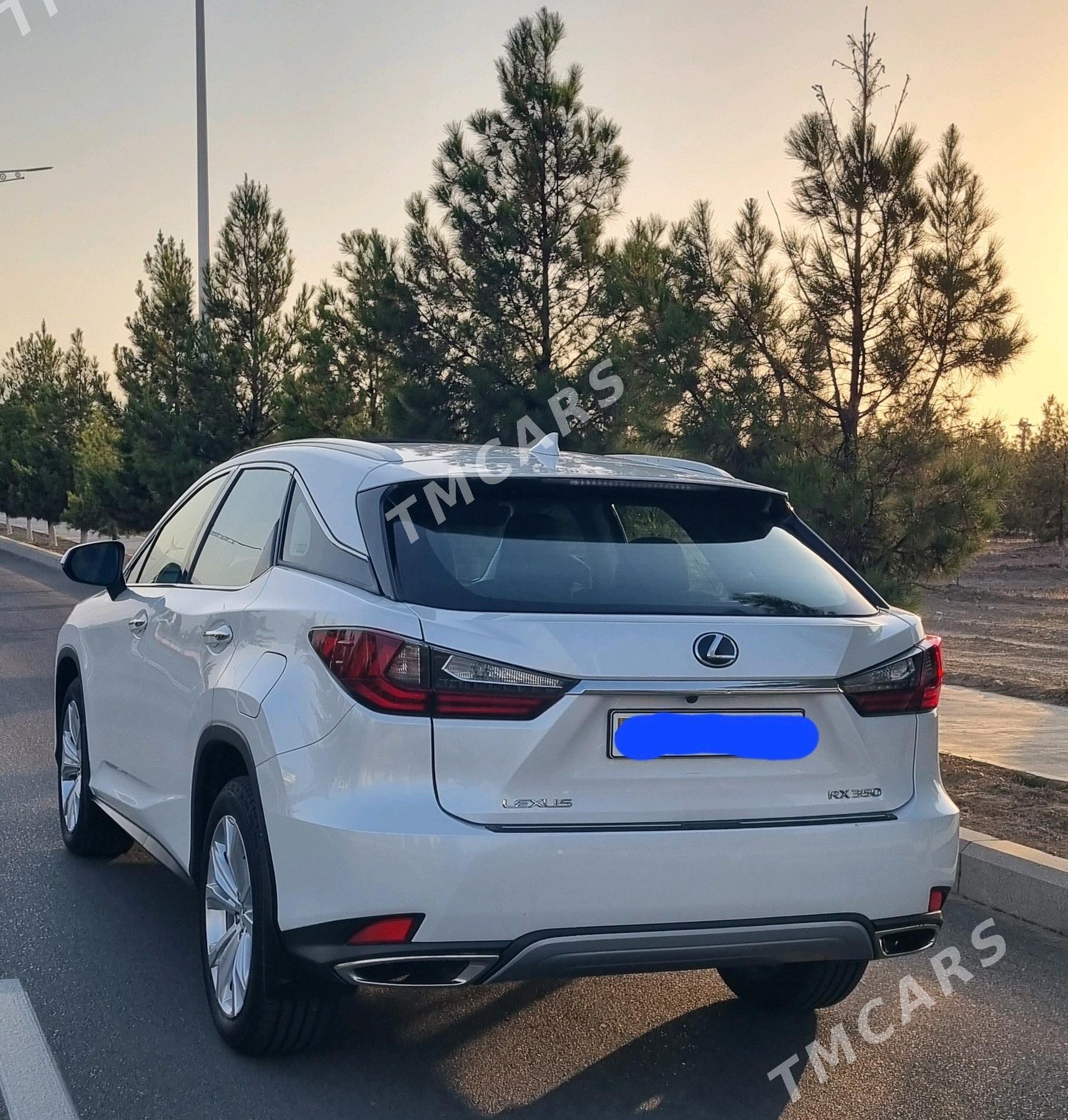 Lexus RX 350 2020 - 635 000 TMT - Ашхабад - img 4