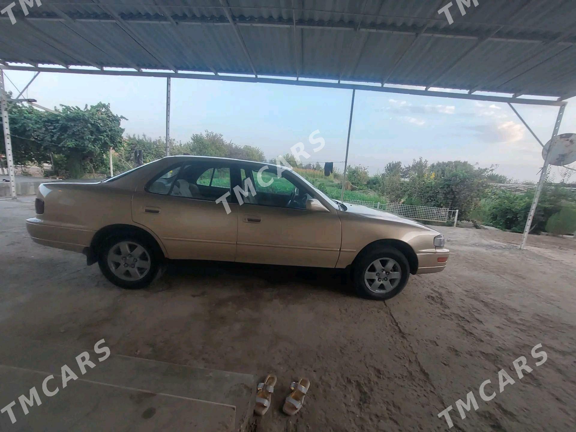 Toyota Camry 1994 - 66 000 TMT - Sakarçäge - img 2