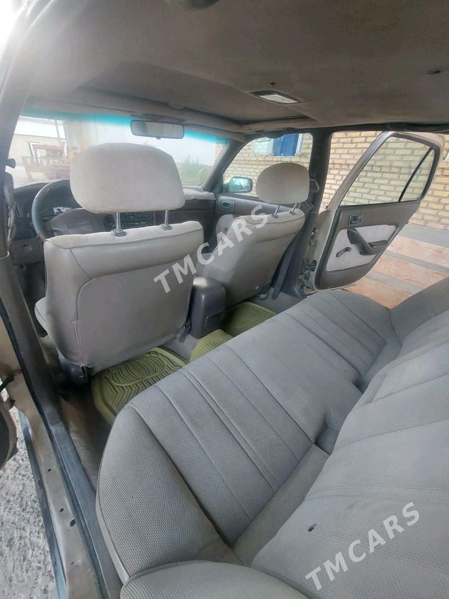 Toyota Camry 1994 - 66 000 TMT - Sakarçäge - img 6