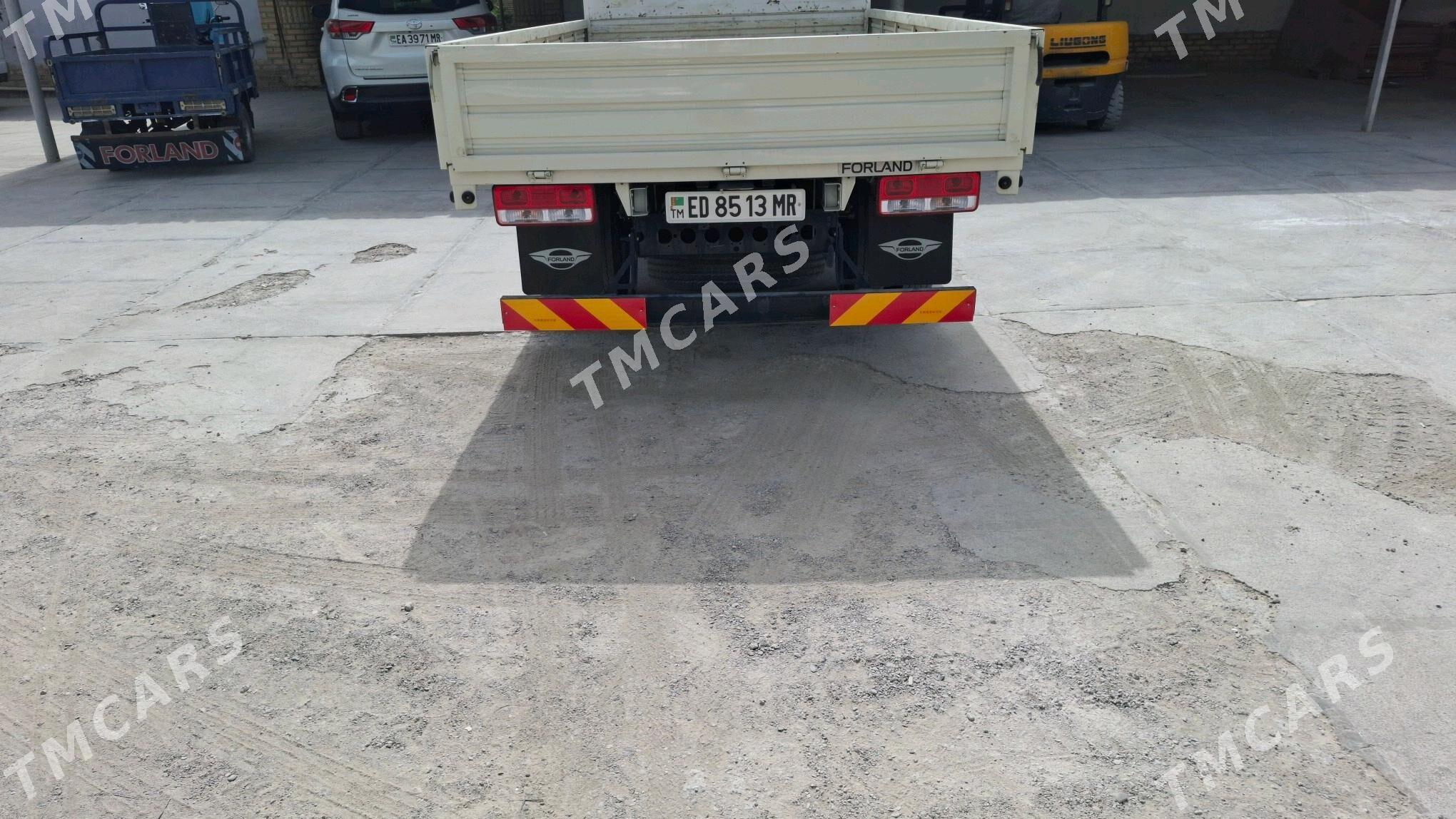 Forland H2 2024 - 300 000 TMT - Мары - img 5
