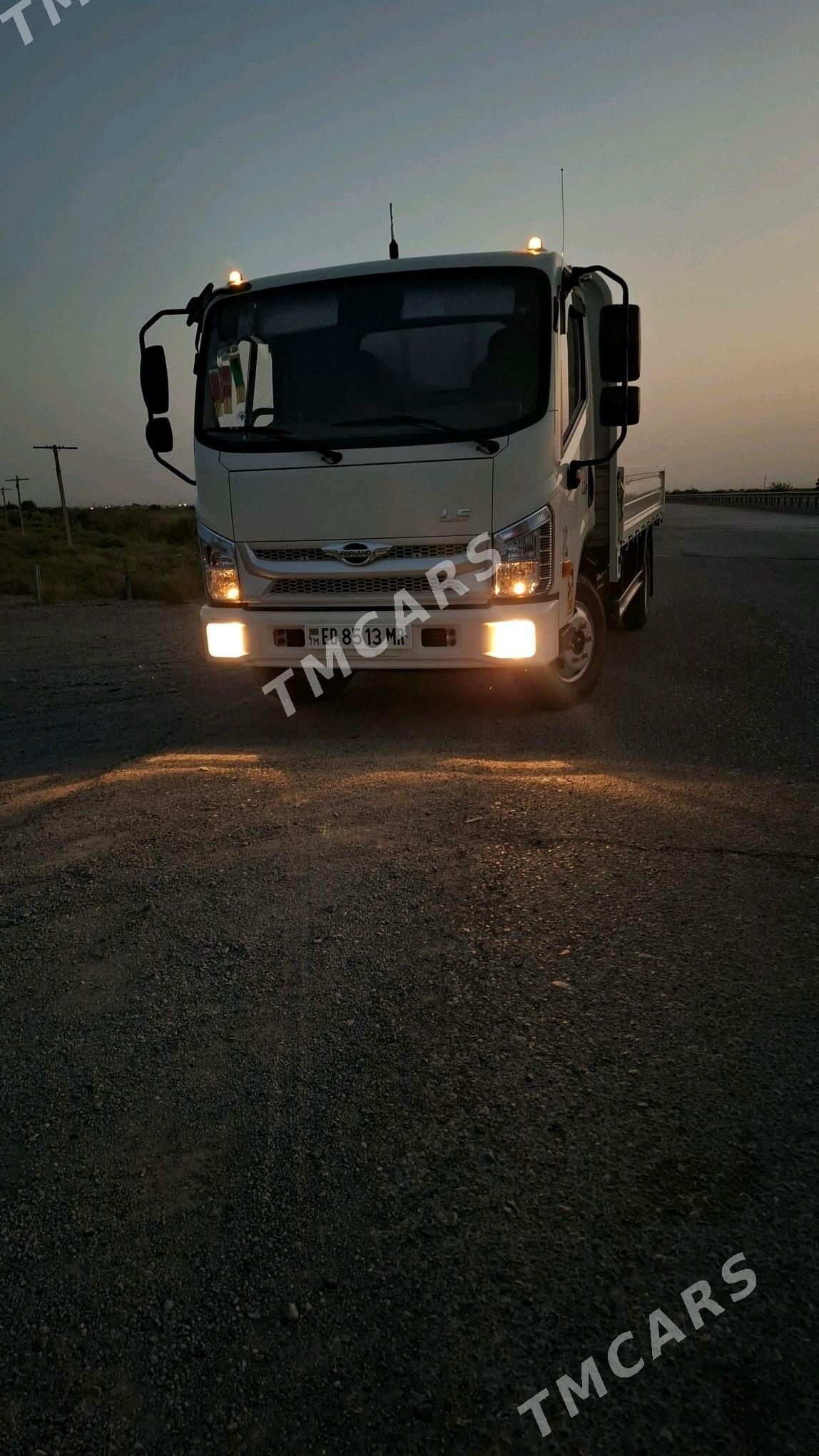 Forland H2 2024 - 300 000 TMT - Мары - img 3