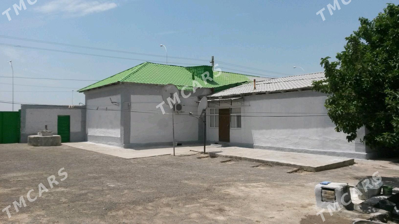 Gyzlarbatda jay - Gyzylarbat - img 2