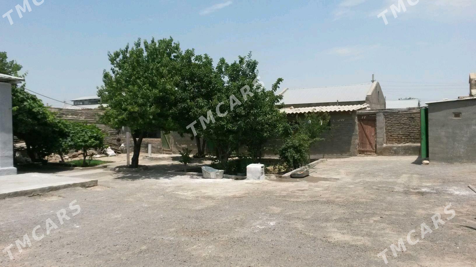 Gyzlarbatda jay - Gyzylarbat - img 3