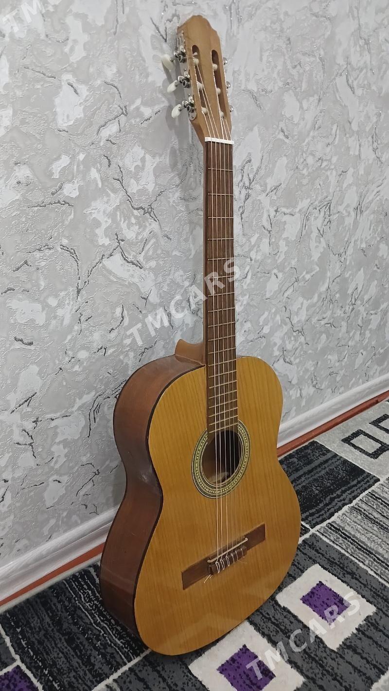 Gitara - Sakarçäge - img 2