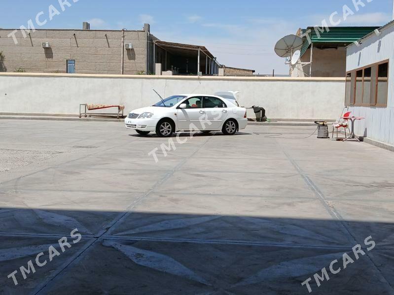 Toyota Corolla 2003 - 105 000 TMT - Çärjew - img 4