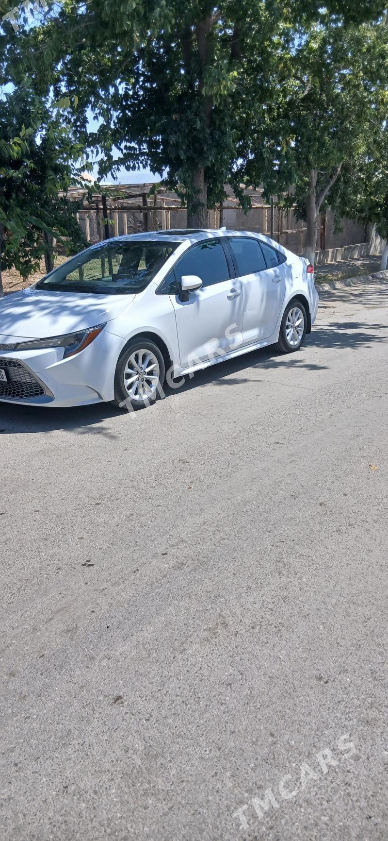 Toyota Corolla 2020 - 295 000 TMT - Ашхабад - img 3