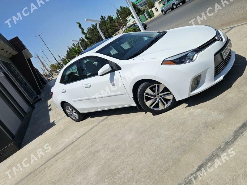 Toyota Corolla 2014 - 210 000 TMT - Mary - img 5