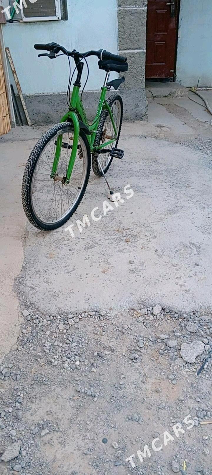 Tigir - Büzmeýin - img 2