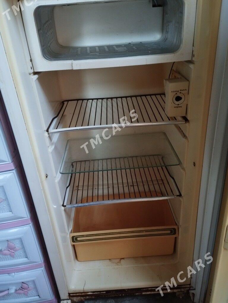 haladilnik - Garadamak Şor - img 2