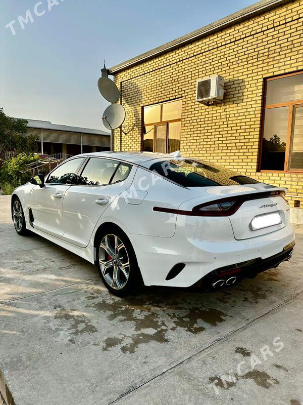 Kia Stinger 2020 - 330 000 TMT - Mary - img 4