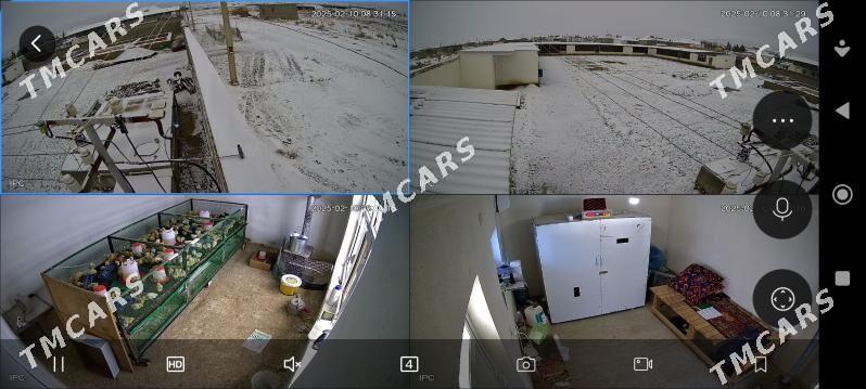 ferma ферма - Aşgabat - img 2