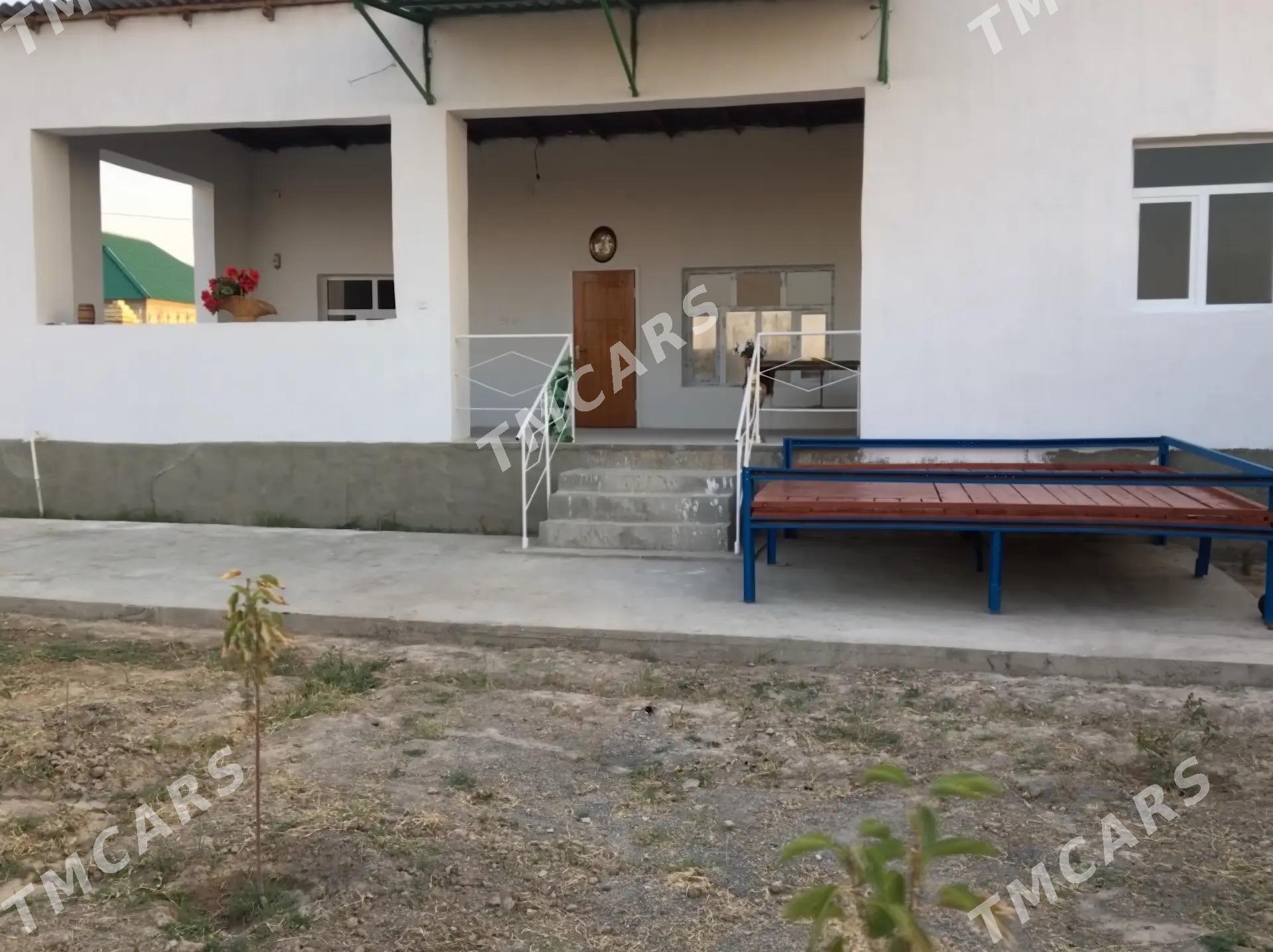 Kaka Daça - Kaka - img 3