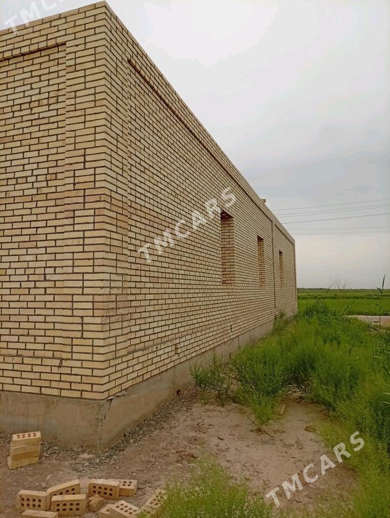 satlyk jaÿ - Мургап - img 2