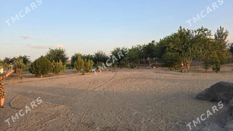 satlyk ferma mellek yer gektar - Гуртли - img 8