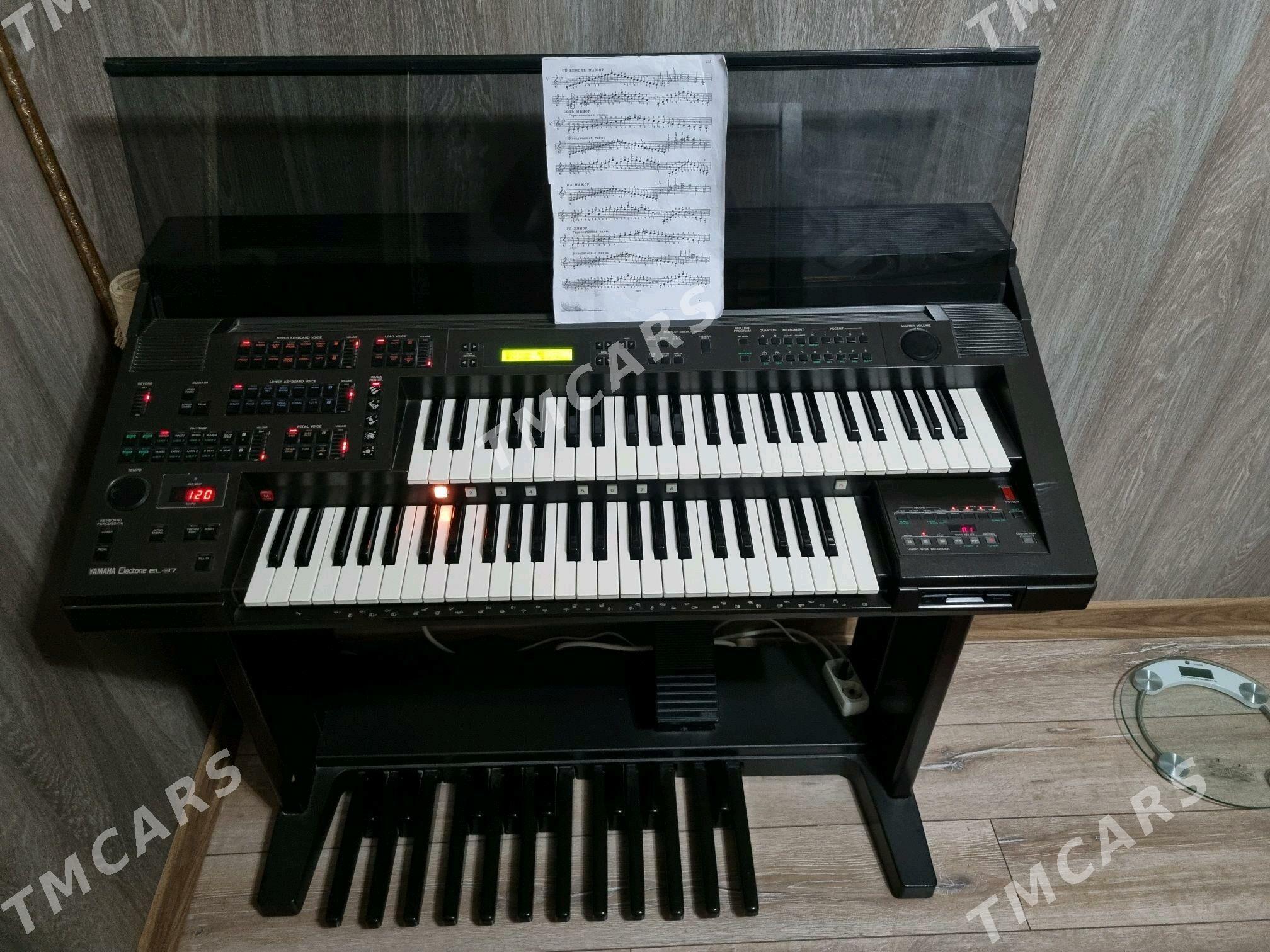 Pianino Пианино - Aşgabat - img 2