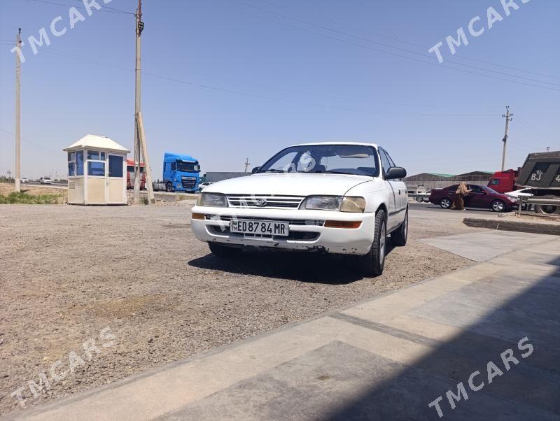 Toyota Corolla 1996 - 57 000 TMT - Mary - img 2