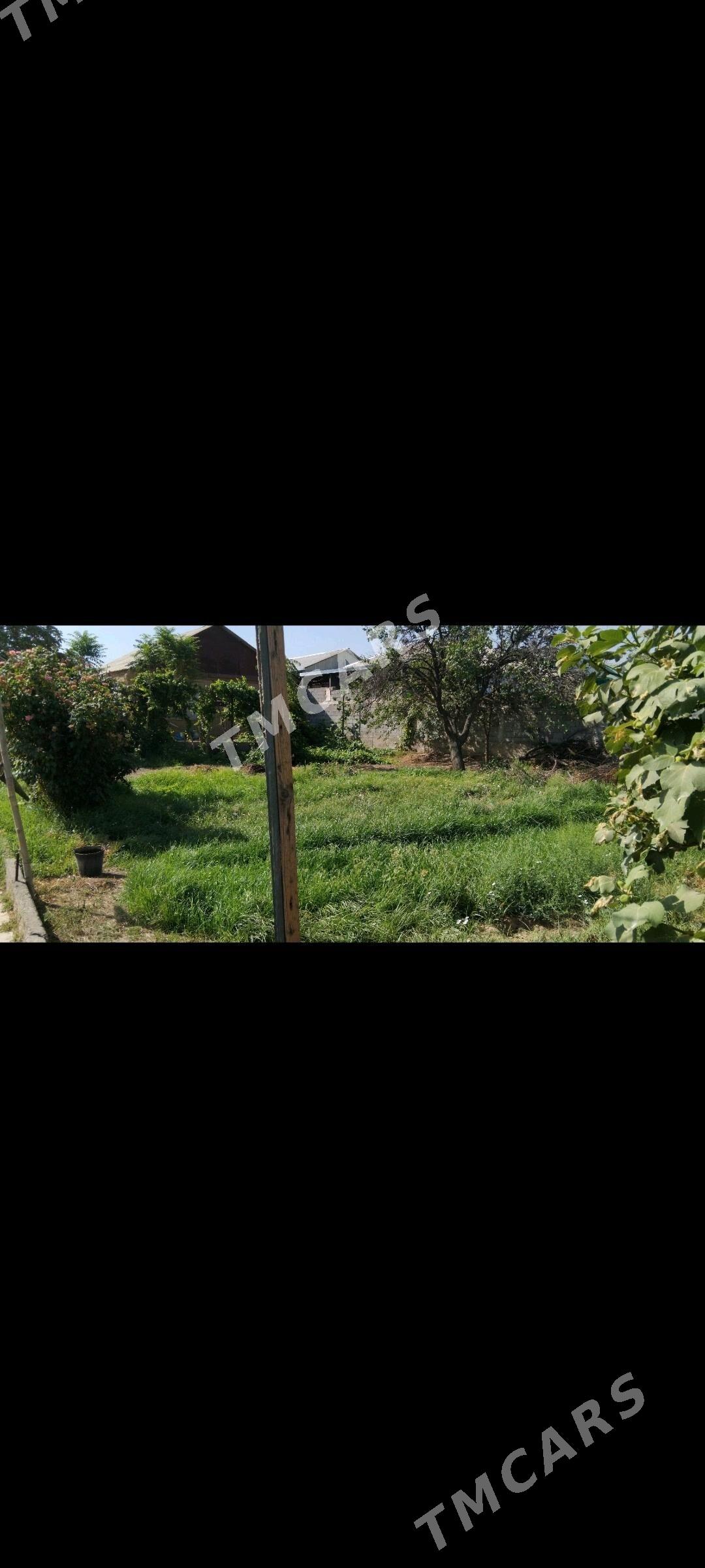 Bagyr Dasgala 8sotok - Багир - img 2