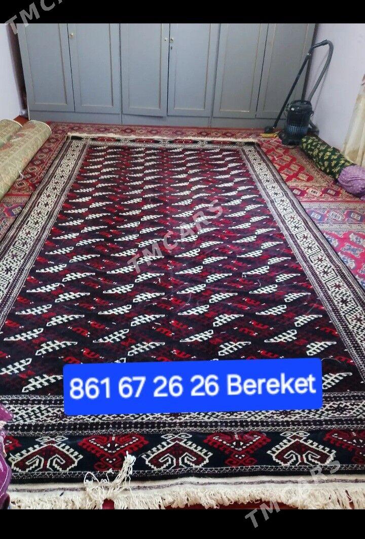 yomut haly - Bereket - img 2