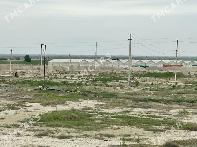 Tayyar Biznes - Бахарден - img 3